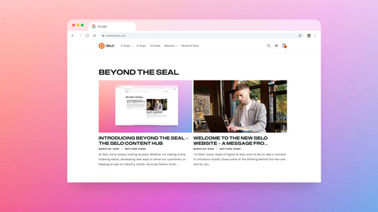 Welcome to Beyond the Seal!